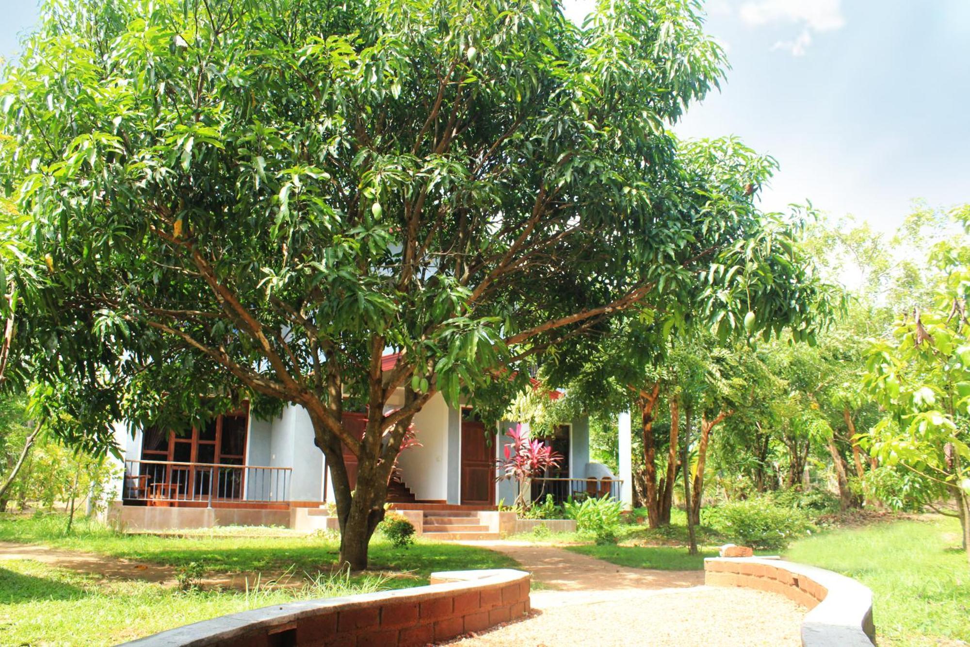 Green Hut Nature Resort Sigiriya Exterior foto